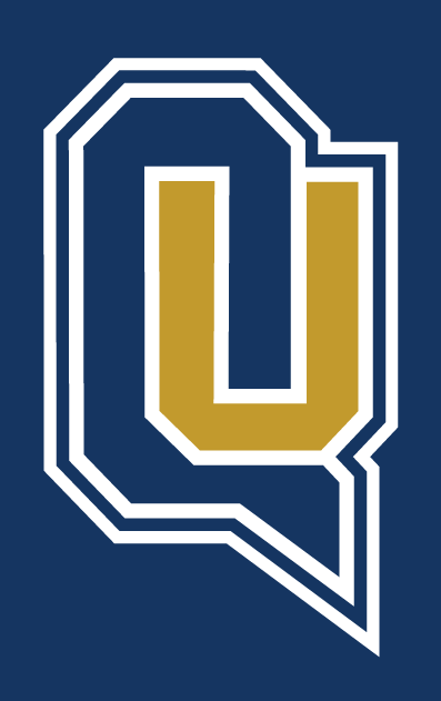 Quinnipiac Bobcats 2002-Pres Alternate Logo v5 iron on transfers for fabric